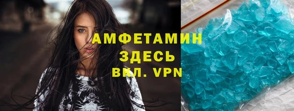 прущие грибы Краснослободск