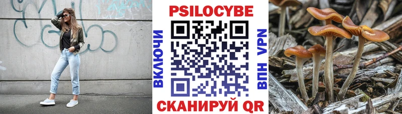 Купить закладки  Реж  Галлюциногенные грибы GOLDEN TEACHER 